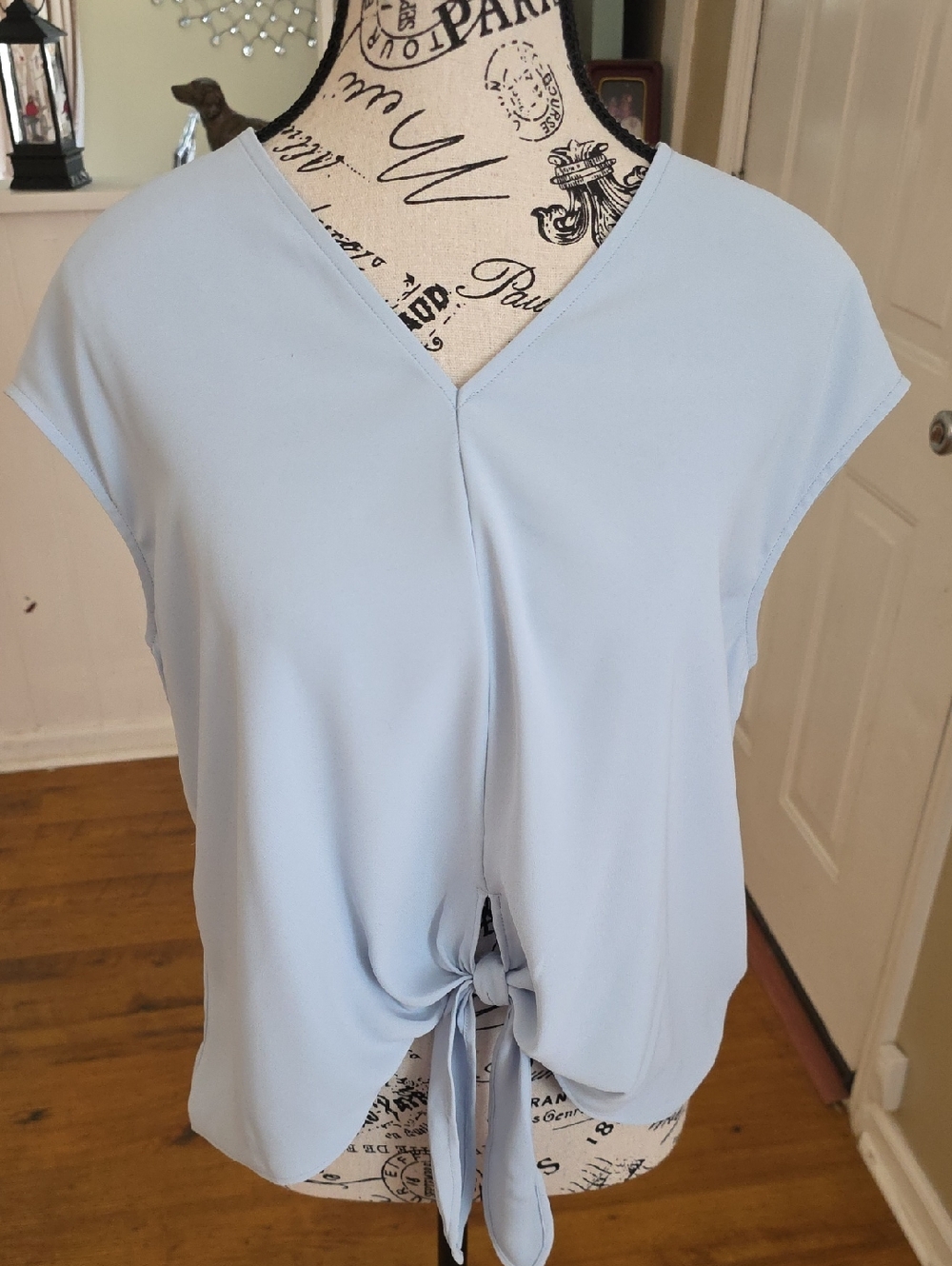 Express Light Blue Tie-Front V-Neck Crop Top